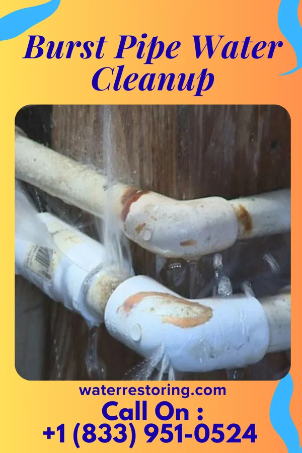 Burst Pipe Water Cleanup in Sequim, WA