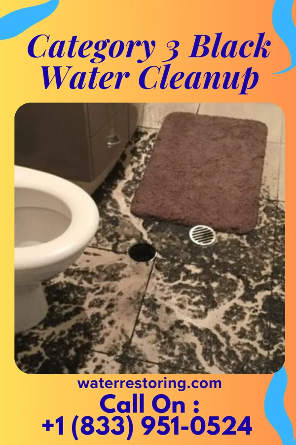 Category 3 Black Water Cleanup in Sequim, WA