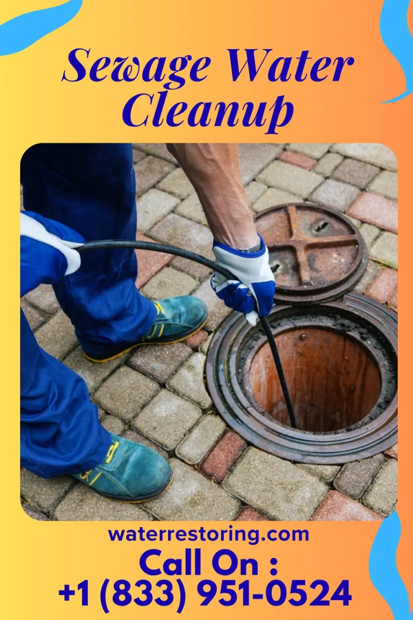 Sewage Water Cleanup in Sequim, WA