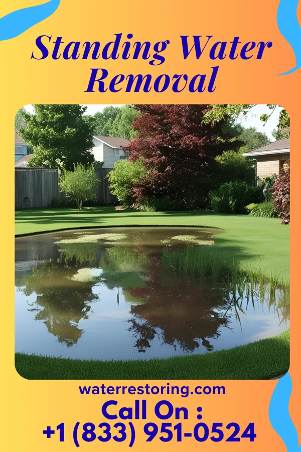 Standing Water Removal in Sequim, WA